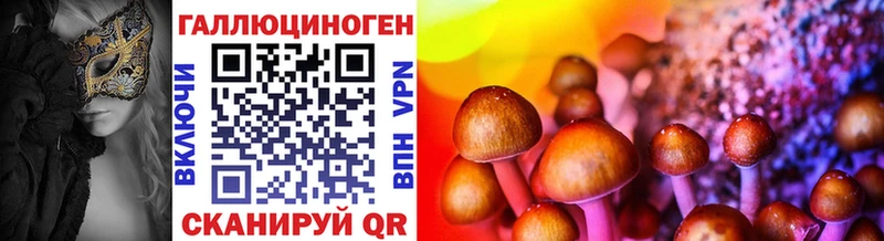 Псилоцибиновые грибы GOLDEN TEACHER  блэк спрут онион  Кувандык 