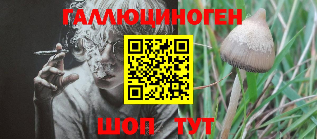 Кувандык  как найти   Вход с VPN  Псилоцибиновые грибы прущие грибы 